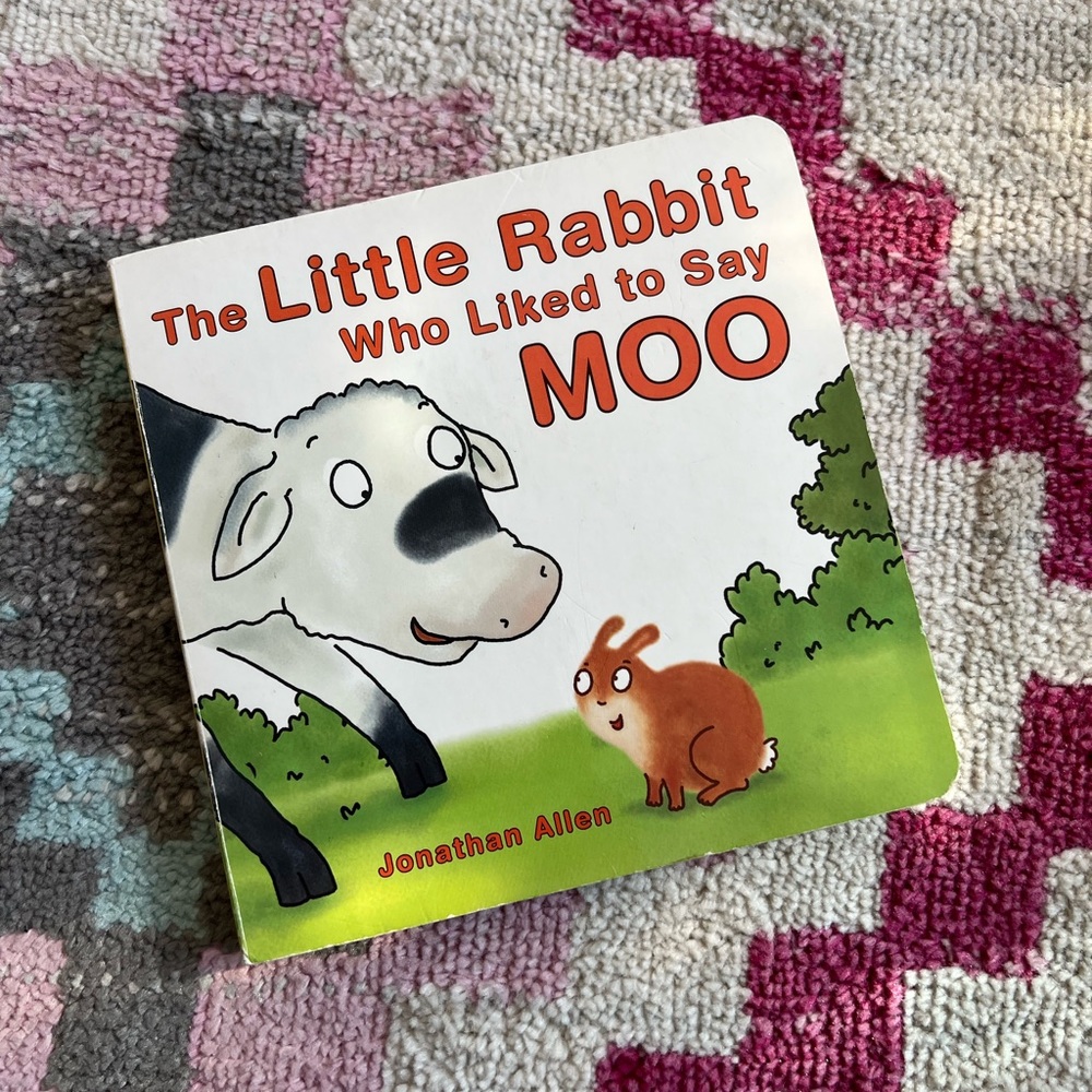The Little Rabbit Who Liked to Say Moo Book